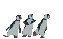 :pinguins